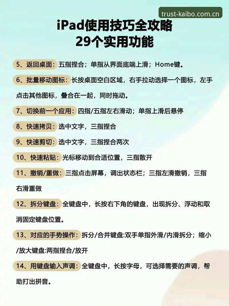 开博体育平台使用教程必备知识：从安装到高阶功能全面解析
